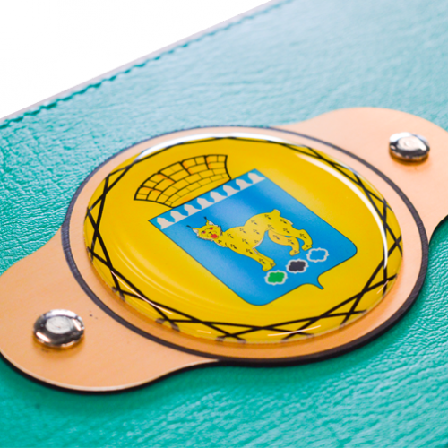 Чемпионский пояс