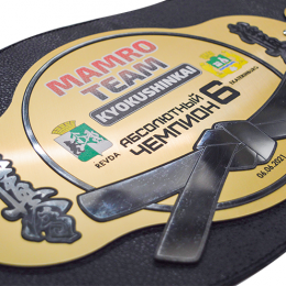 Чемпионский пояс