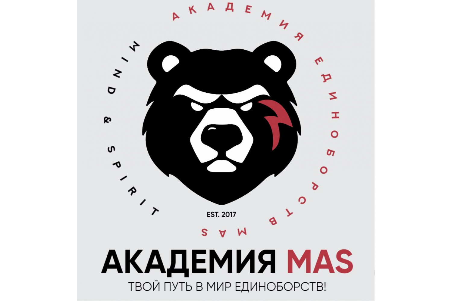 Пошив и брендирование формы для академии единоборств MAS