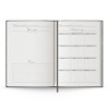 Ежедневник Anaconda, недатированный, серебристый