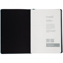 Ежедневник Alanis, недатированный, черный с голубым