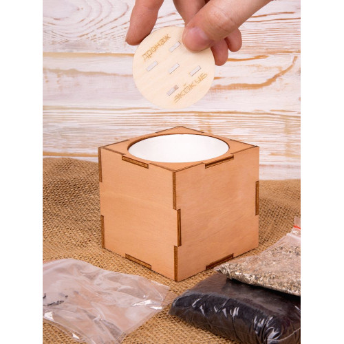 Набор для выращивания «Экокуб Lite», сирень