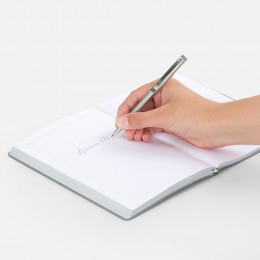 Ручка шариковая Delgado, серебристая