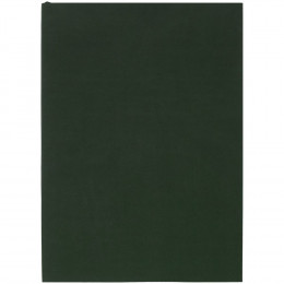 Ежедневник Flat Light, недатированный, зеленый