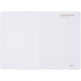 Ежедневник Basis, датированный, красный