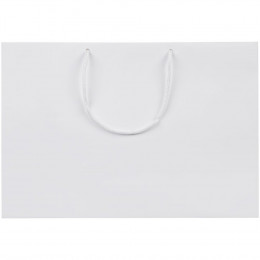 Пакет бумажный Ample Plus M, белый