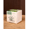 Набор для выращивания «Экокуб», сосна
