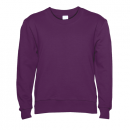 Свитшот детский STAN футер без начёса, 260, 63J