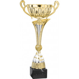 Кубок 4010E (30,5см) D-100