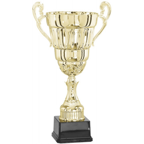 Кубок 3003C (39см) D-160