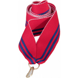 Лента (шир.22 мм) V2-R/BL/R/BL/R Волгоградская область