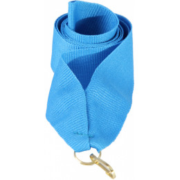 Лента (шир.11 мм)  V8-LBL