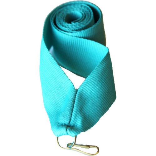 Лента (шир.22 мм)  V2-TEAL